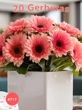 Ternura en Rosa: 20 Gerberas Rosa en Cubo de Cerámica México